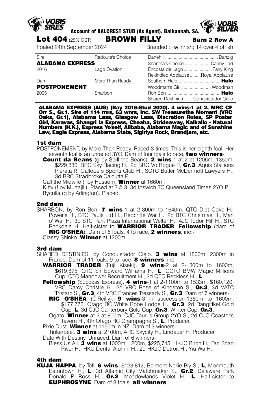 Pedigree - Lot 404