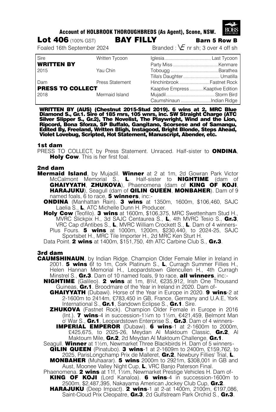 Pedigree - Lot 406
