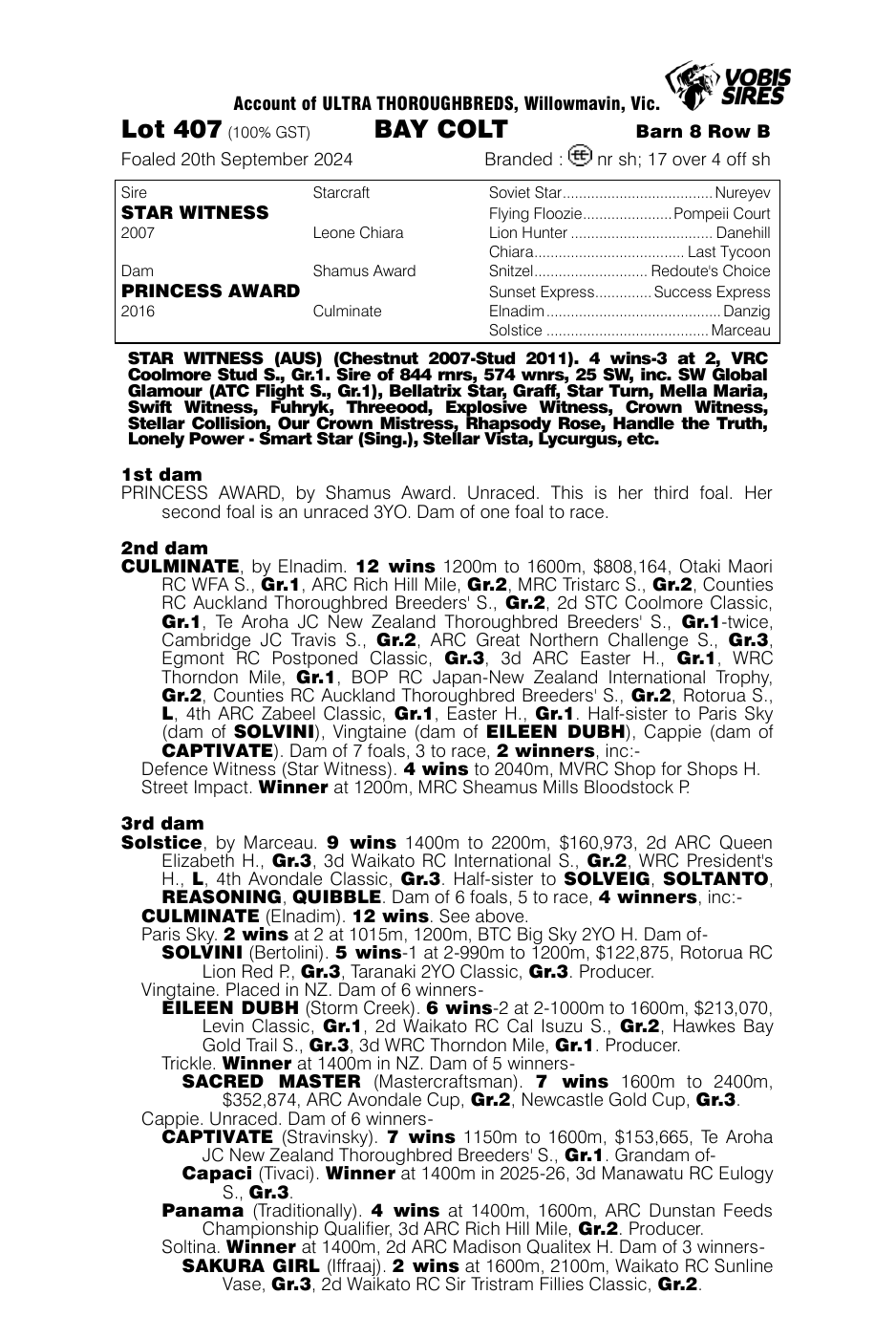 Pedigree - Lot 407