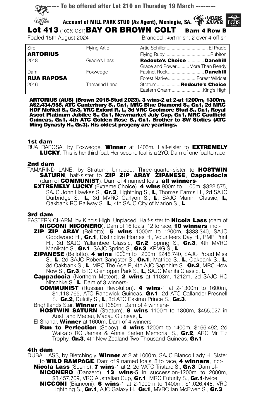 Pedigree - Lot 413