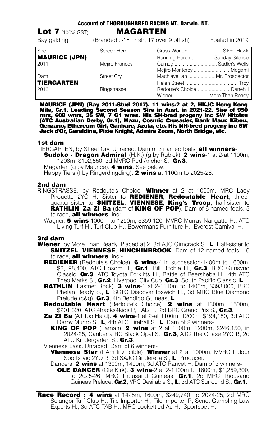 Pedigree - Lot 7