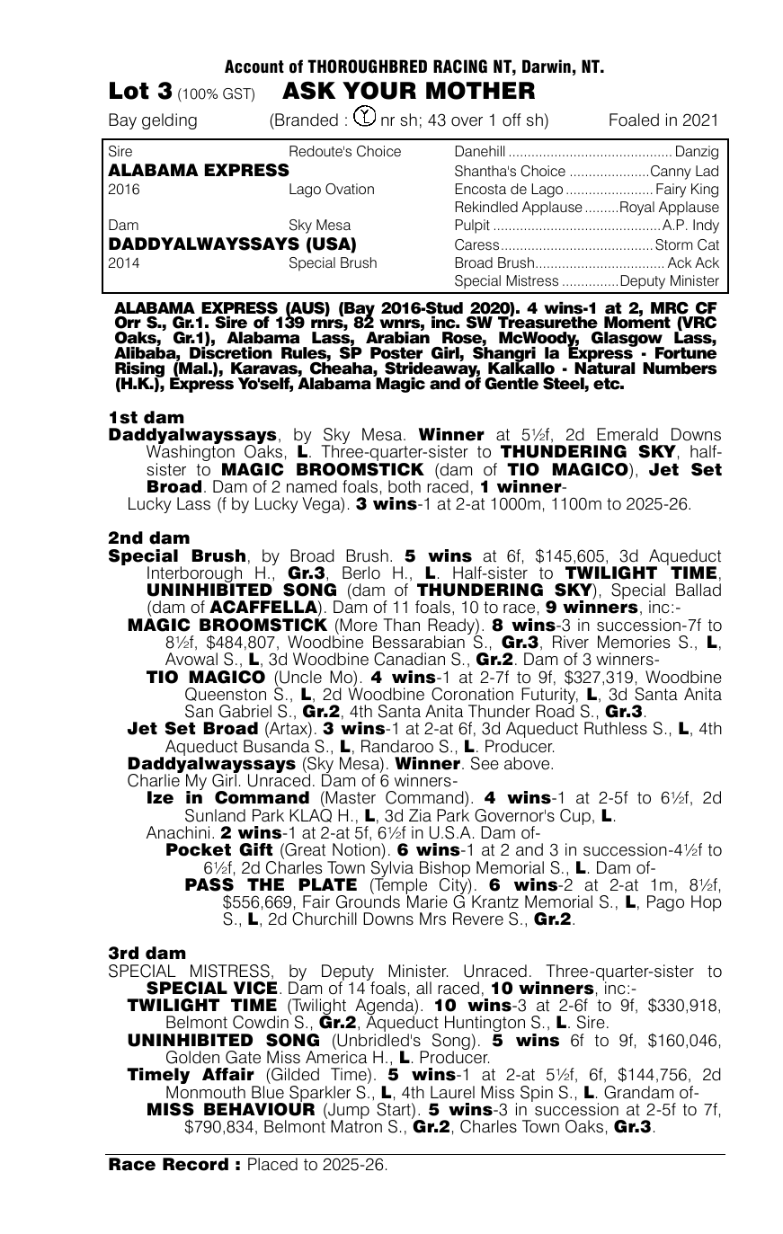 Pedigree - Lot 3