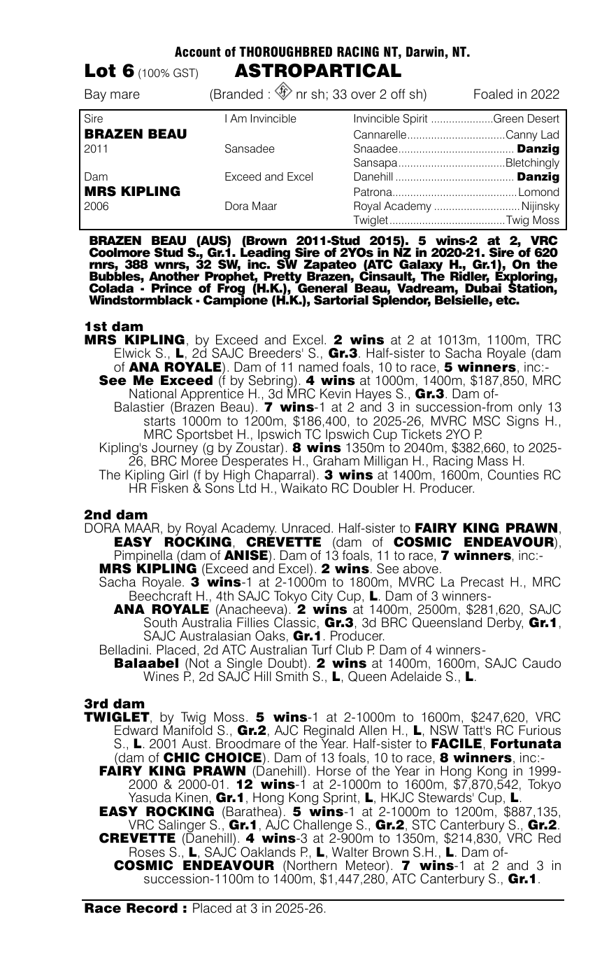 Pedigree - Lot 6