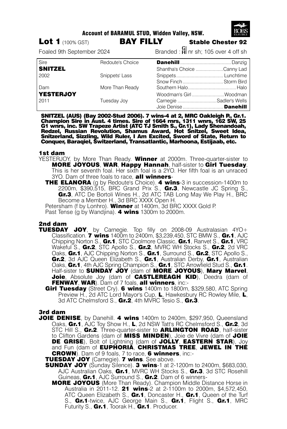 Pedigree - Lot 1