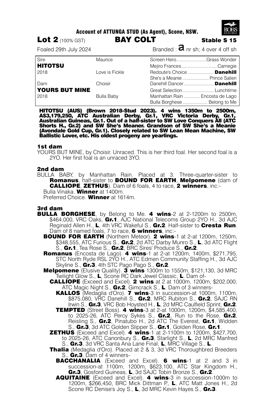 Pedigree - Lot 2