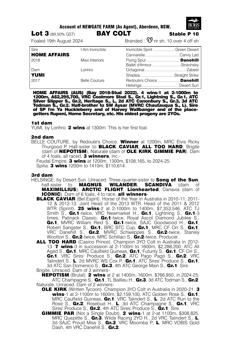 Pedigree - Lot 3