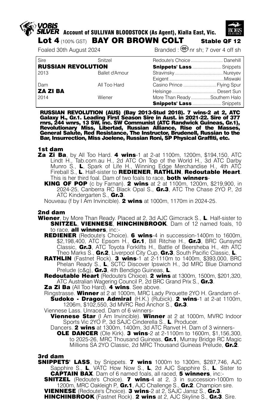 Pedigree - Lot 4