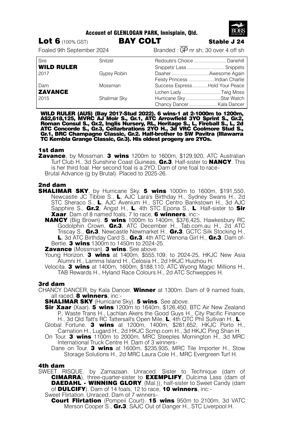 Pedigree - Lot 6