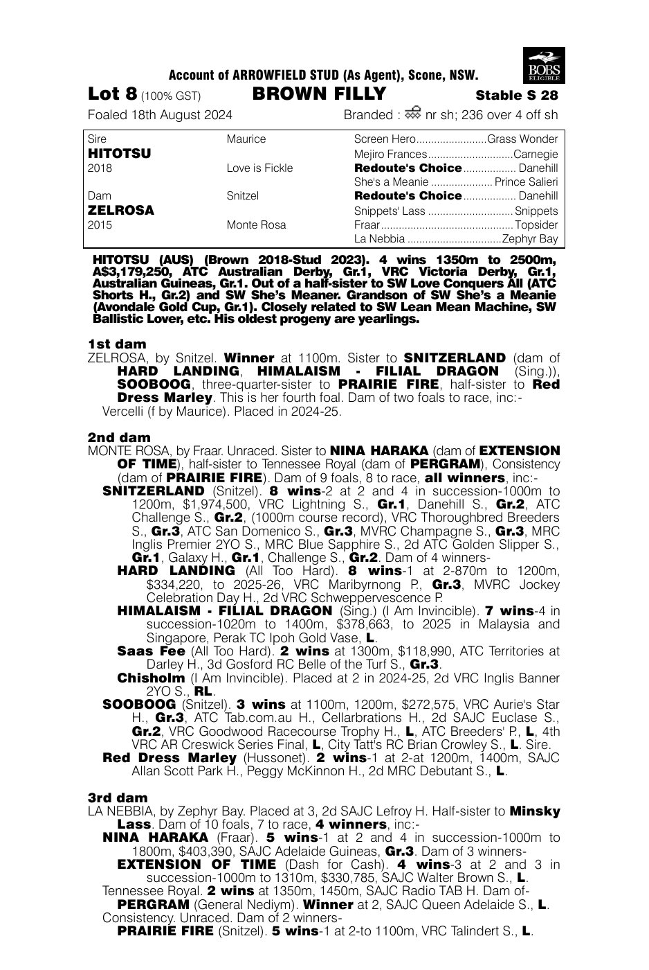 Pedigree - Lot 8