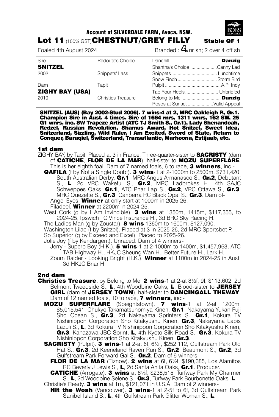 Pedigree - Lot 11