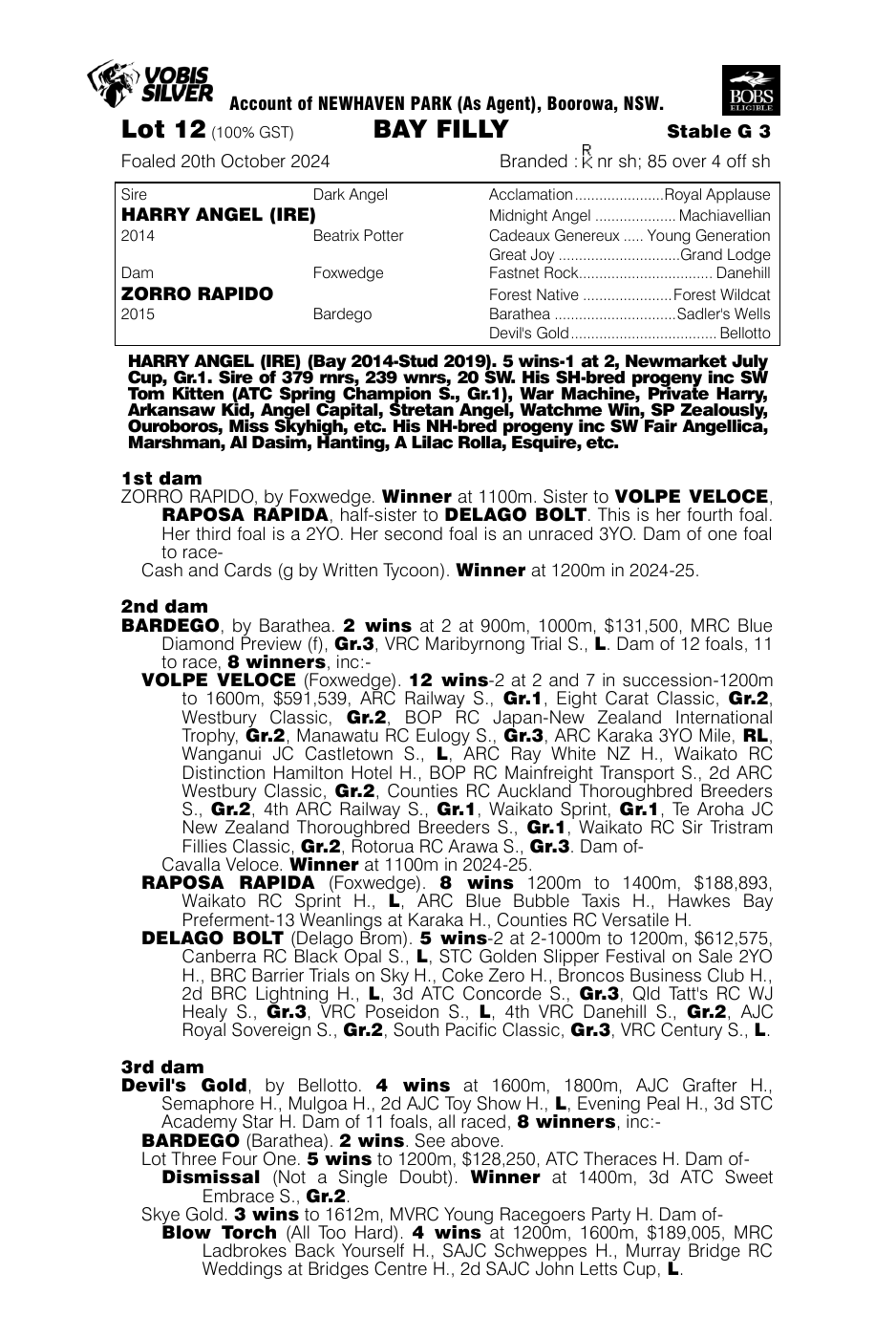 Pedigree - Lot 12