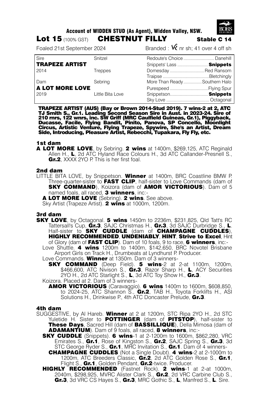 Pedigree - Lot 15