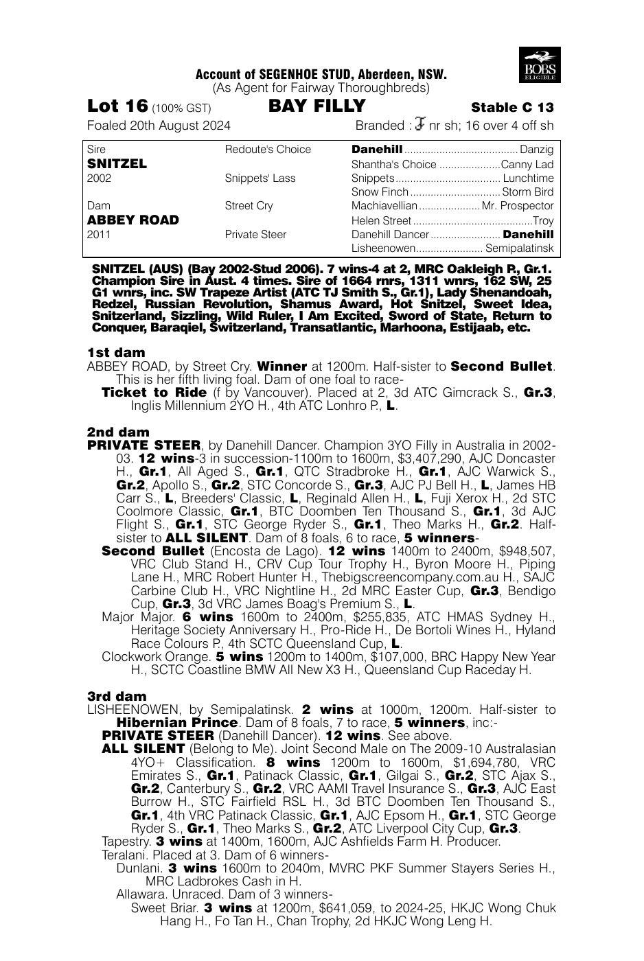 Pedigree - Lot 16
