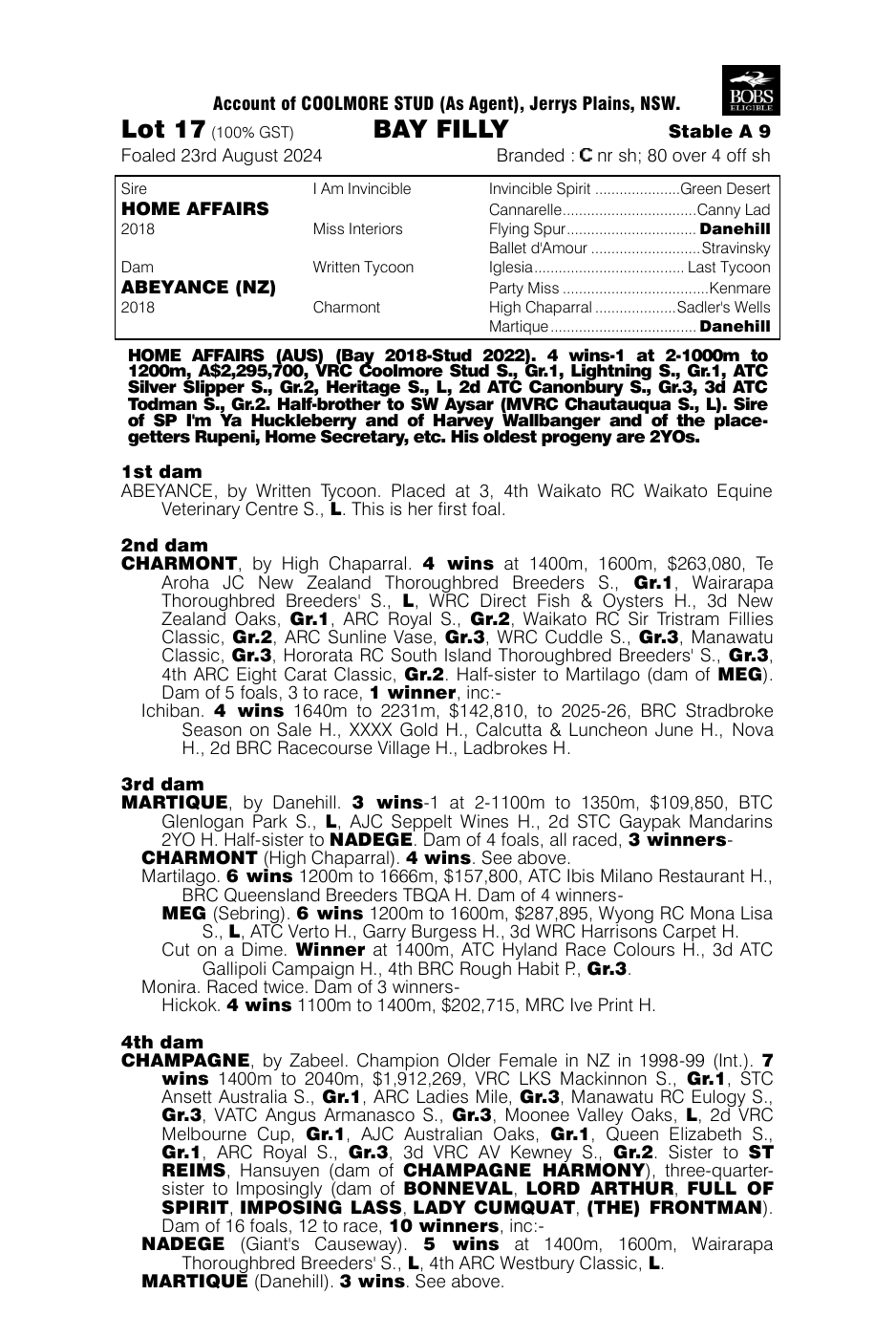 Pedigree - Lot 17