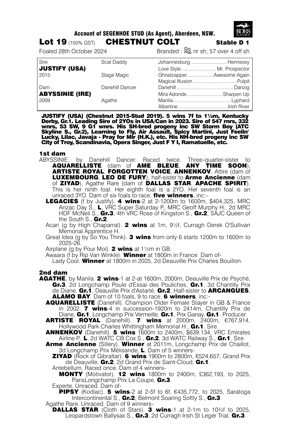 Pedigree - Lot 19