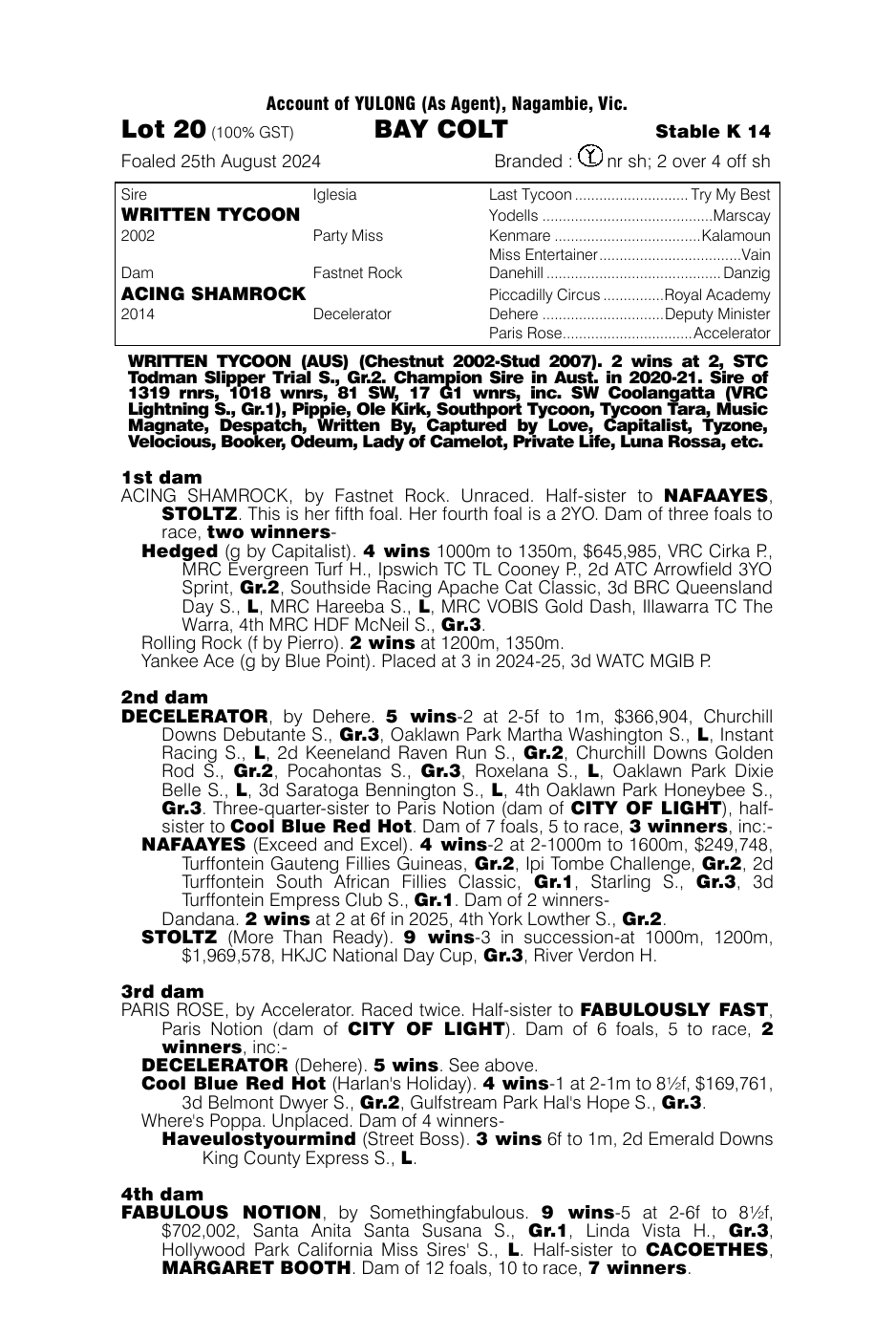 Pedigree - Lot 20