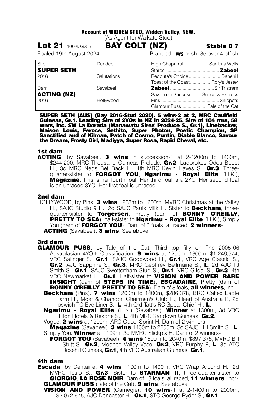 Pedigree - Lot 21
