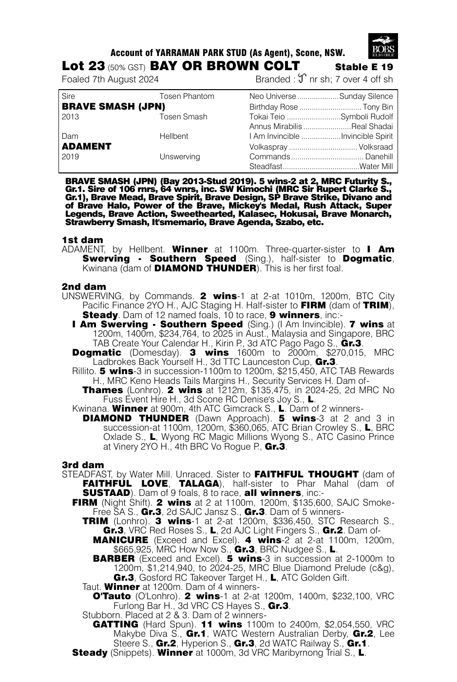 Pedigree - Lot 23