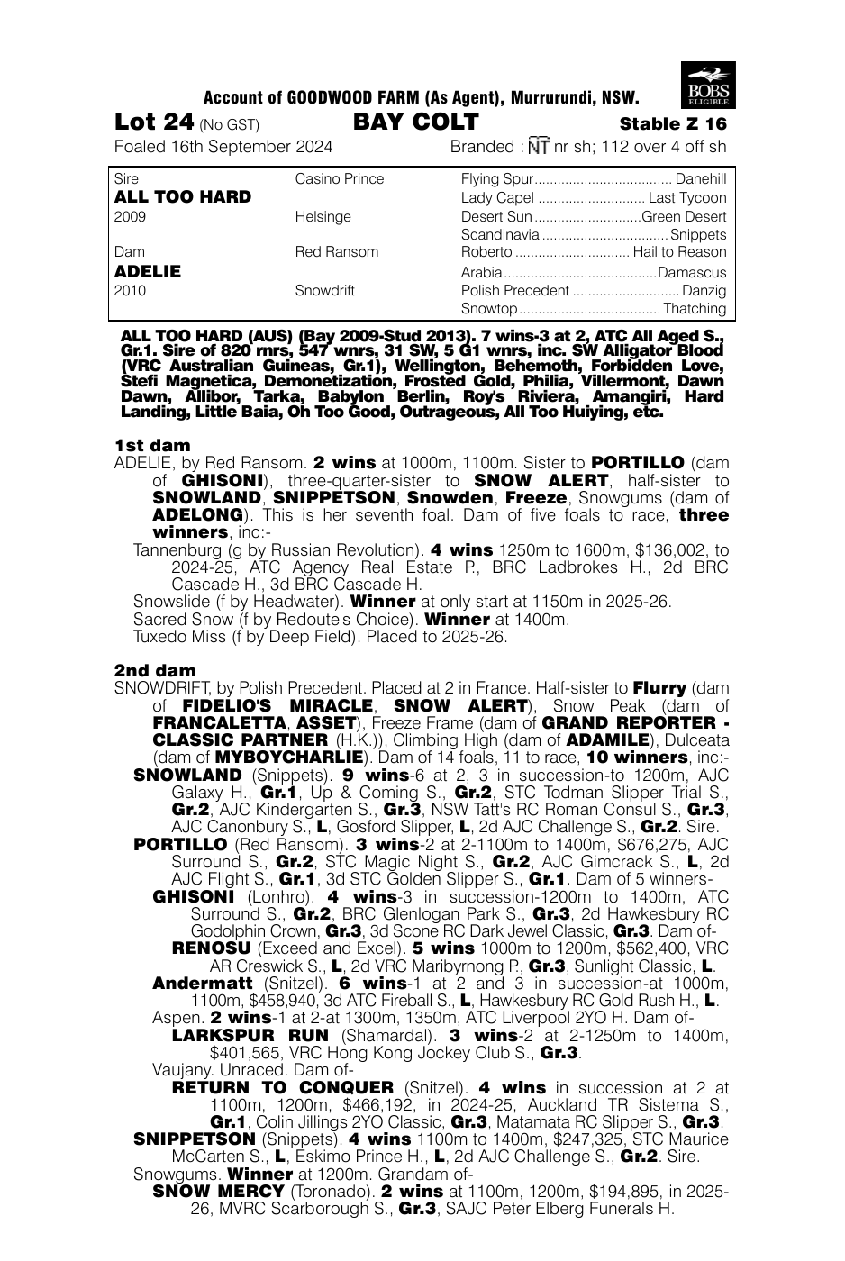 Pedigree - Lot 24