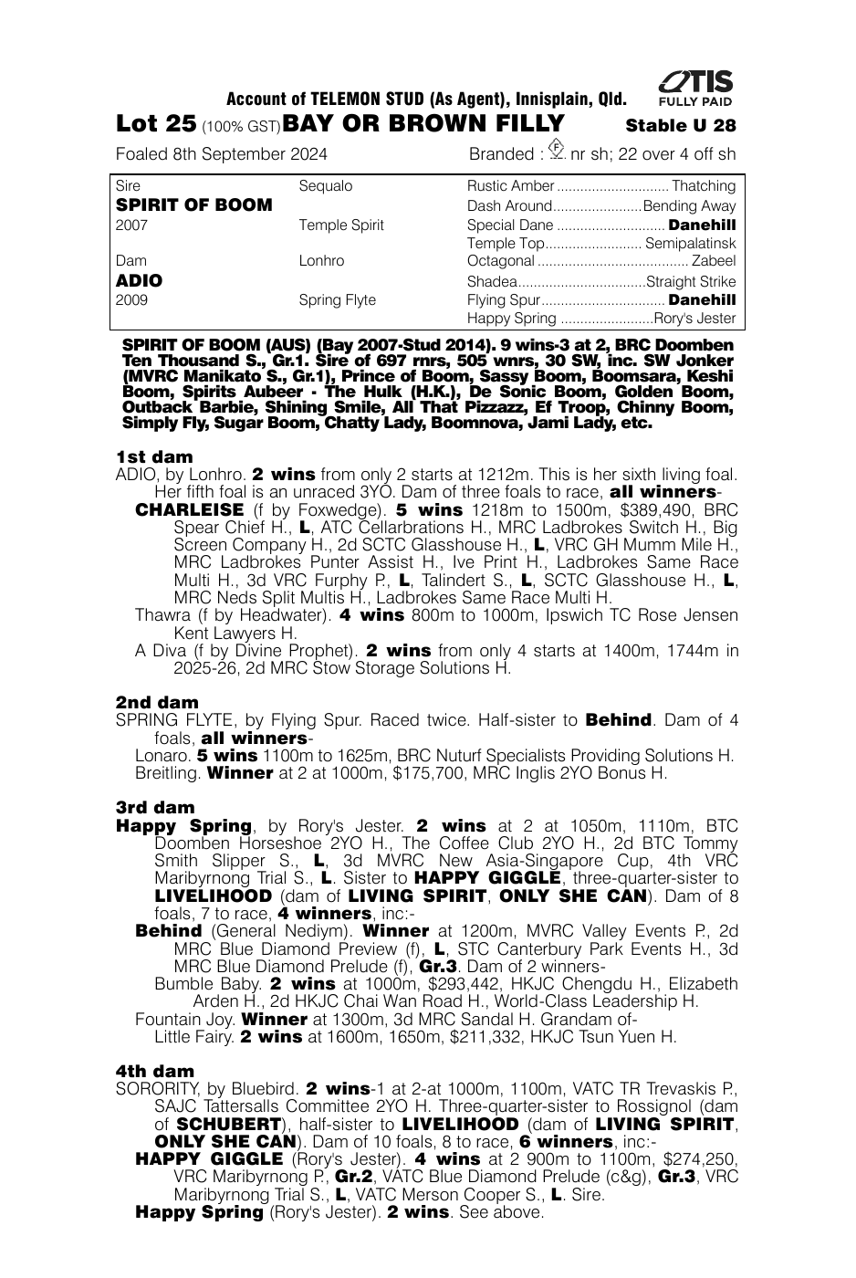 Pedigree - Lot 25