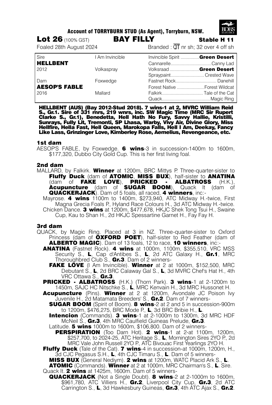 Pedigree - Lot 26