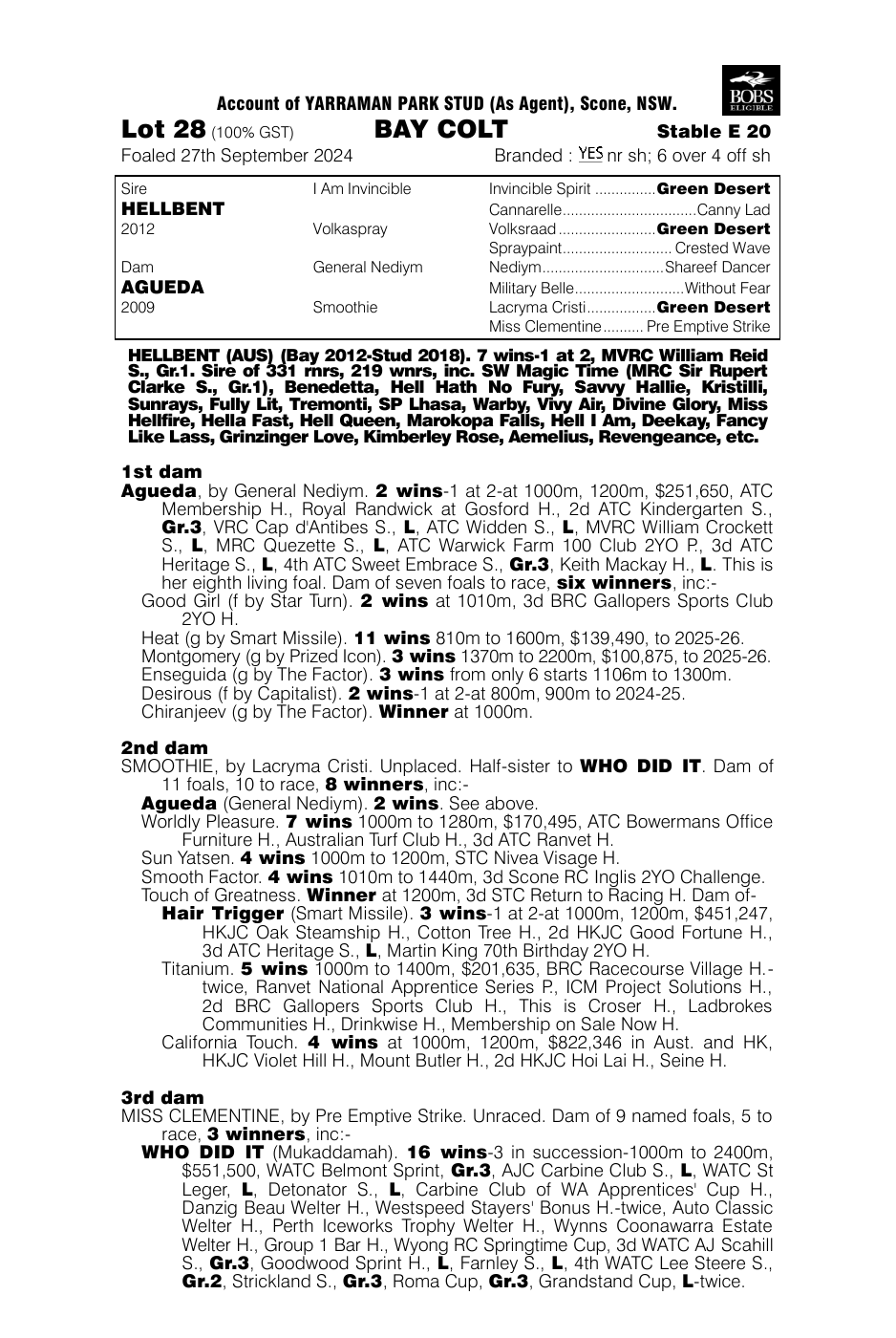 Pedigree - Lot 28