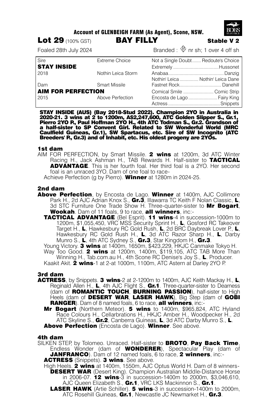 Pedigree - Lot 29