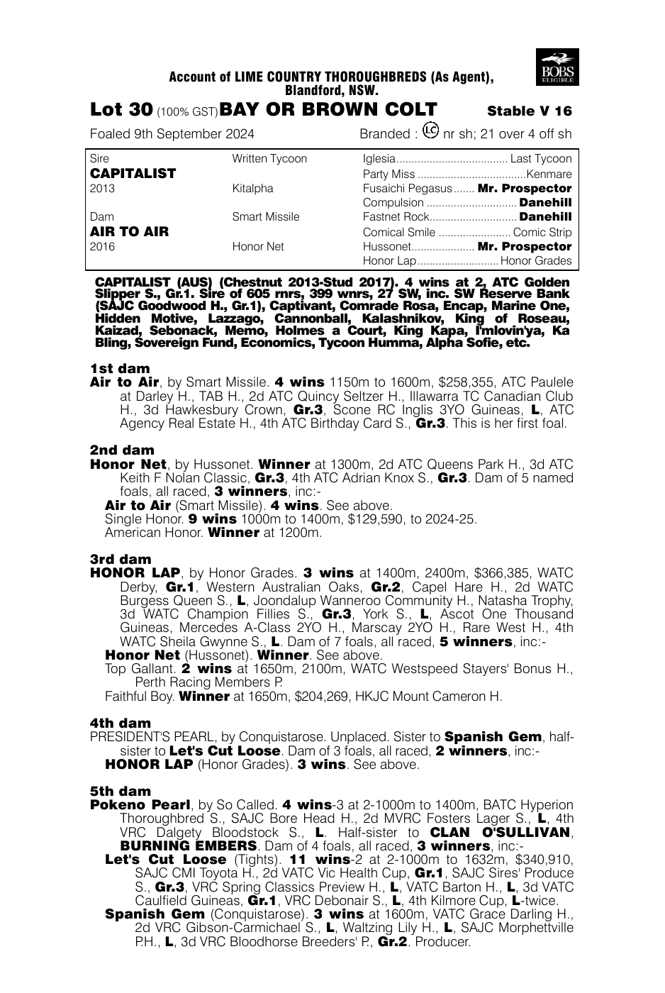 Pedigree - Lot 30