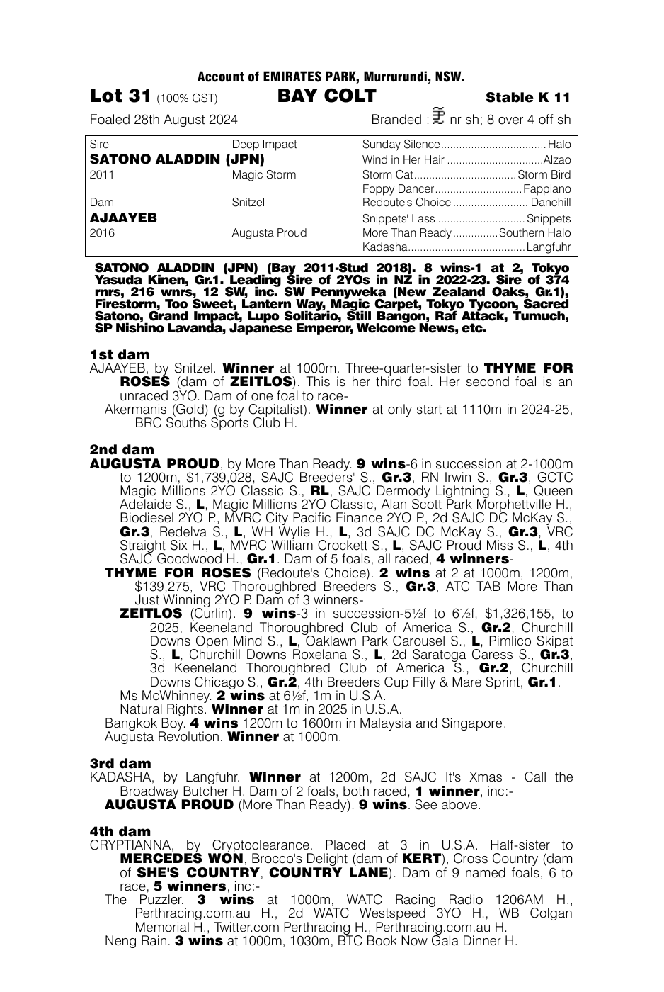 Pedigree - Lot 31
