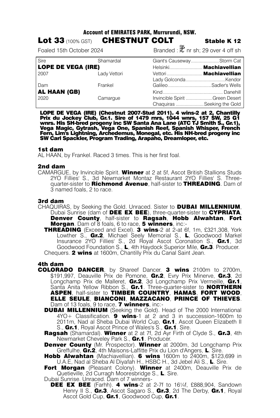 Pedigree - Lot 33