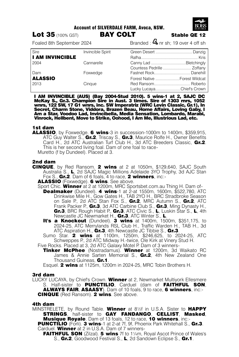 Pedigree - Lot 35