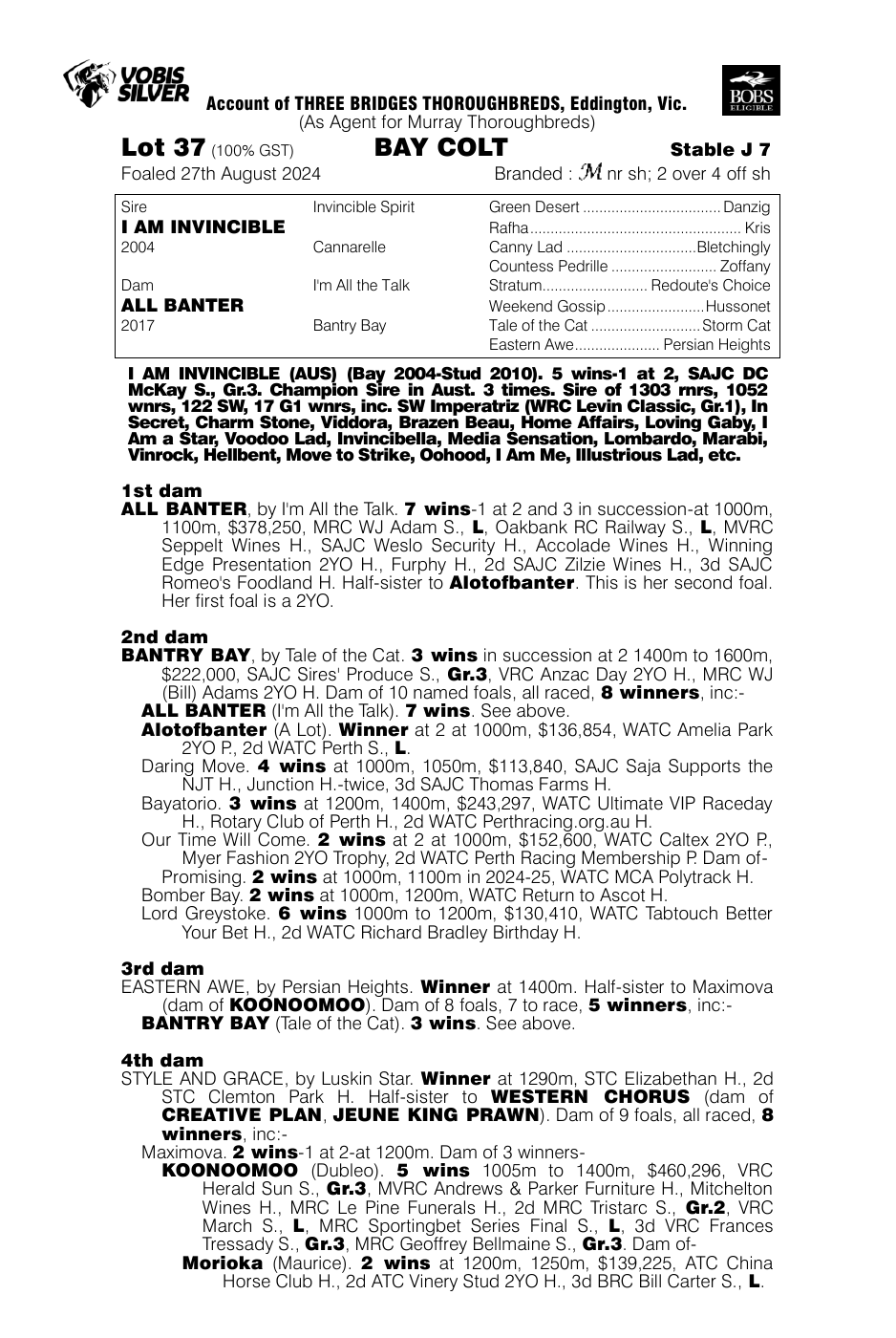Pedigree - Lot 37