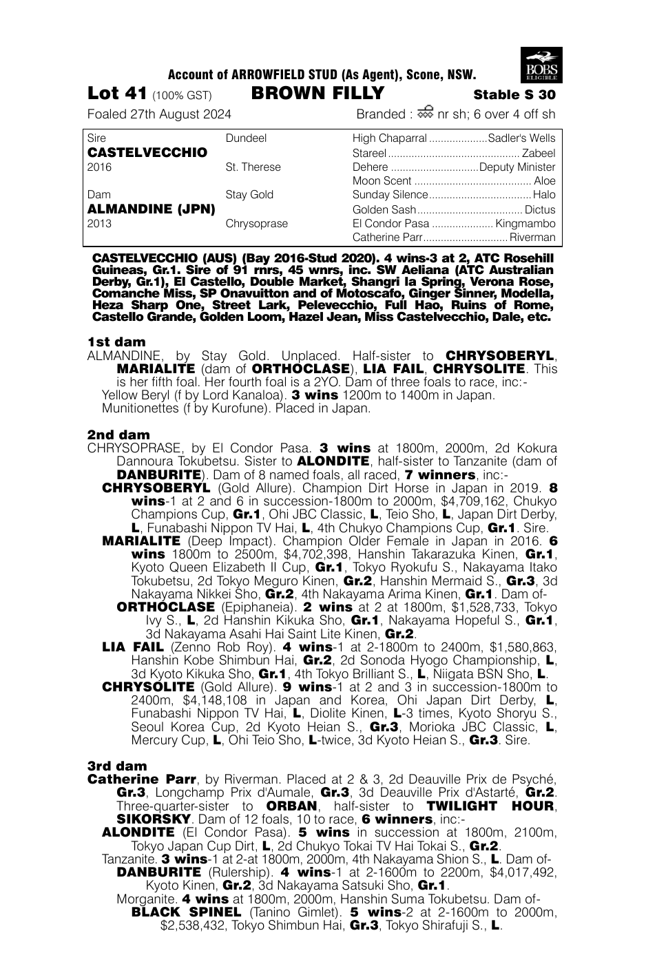 Pedigree - Lot 41