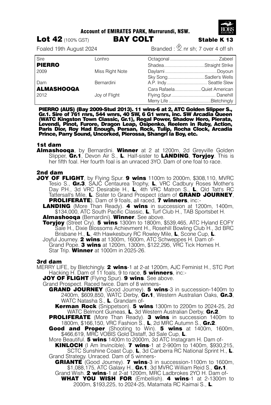 Pedigree - Lot 42