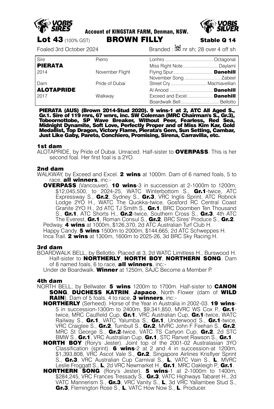 Pedigree - Lot 43