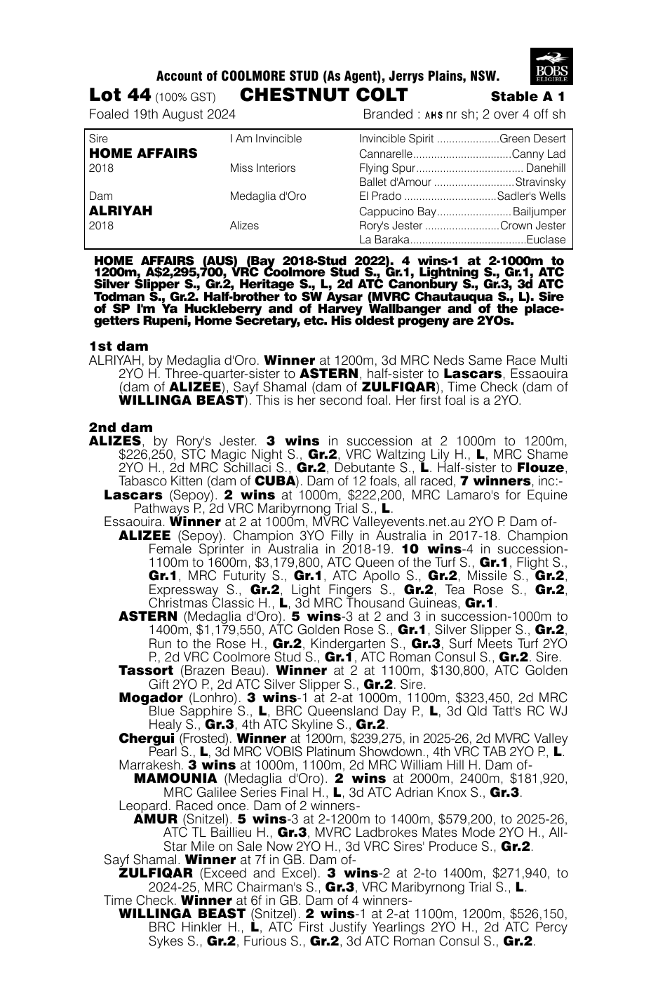 Pedigree - Lot 44