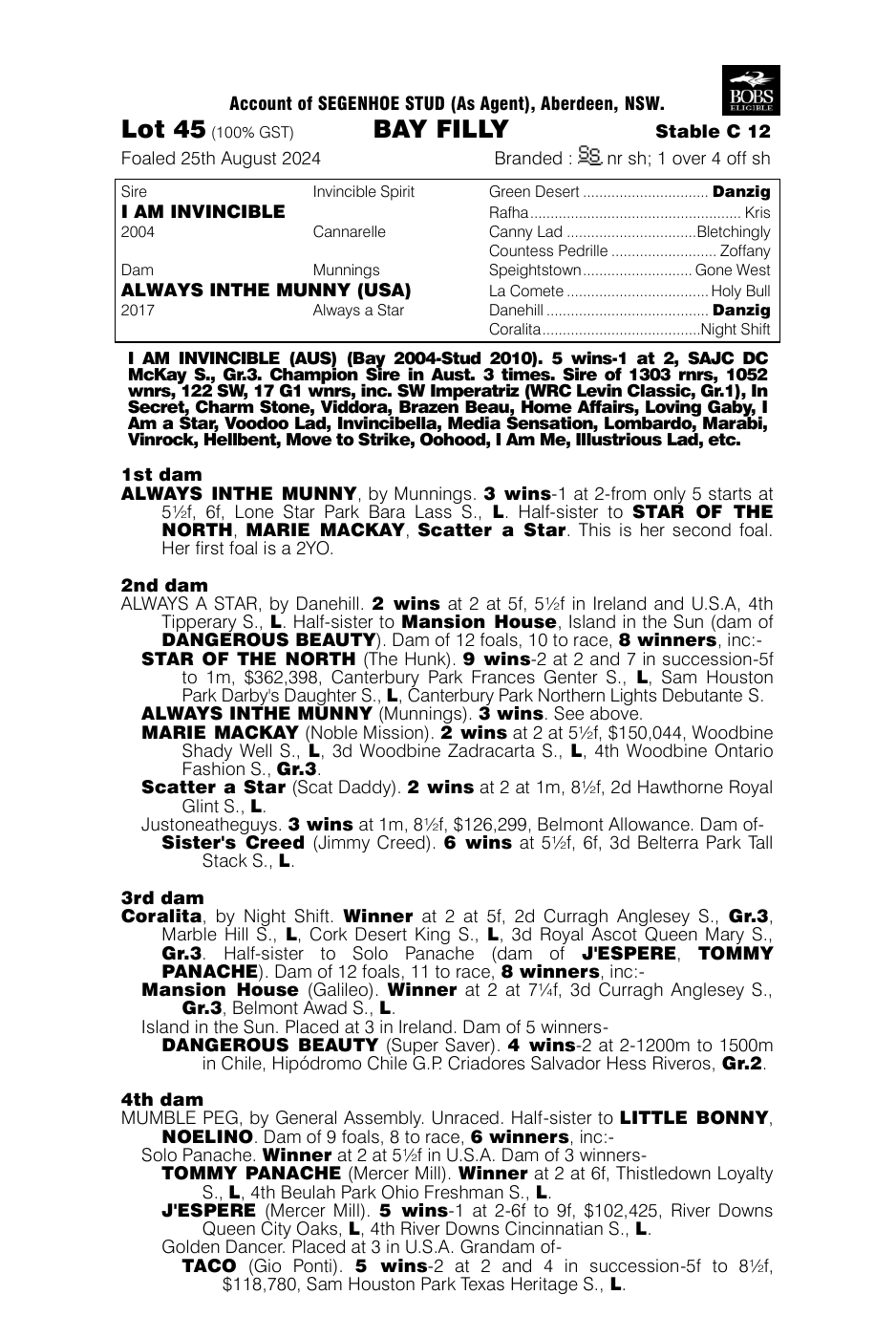 Pedigree - Lot 45