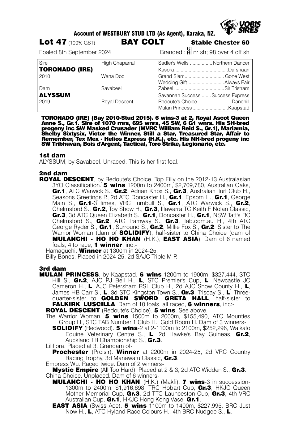 Pedigree - Lot 47