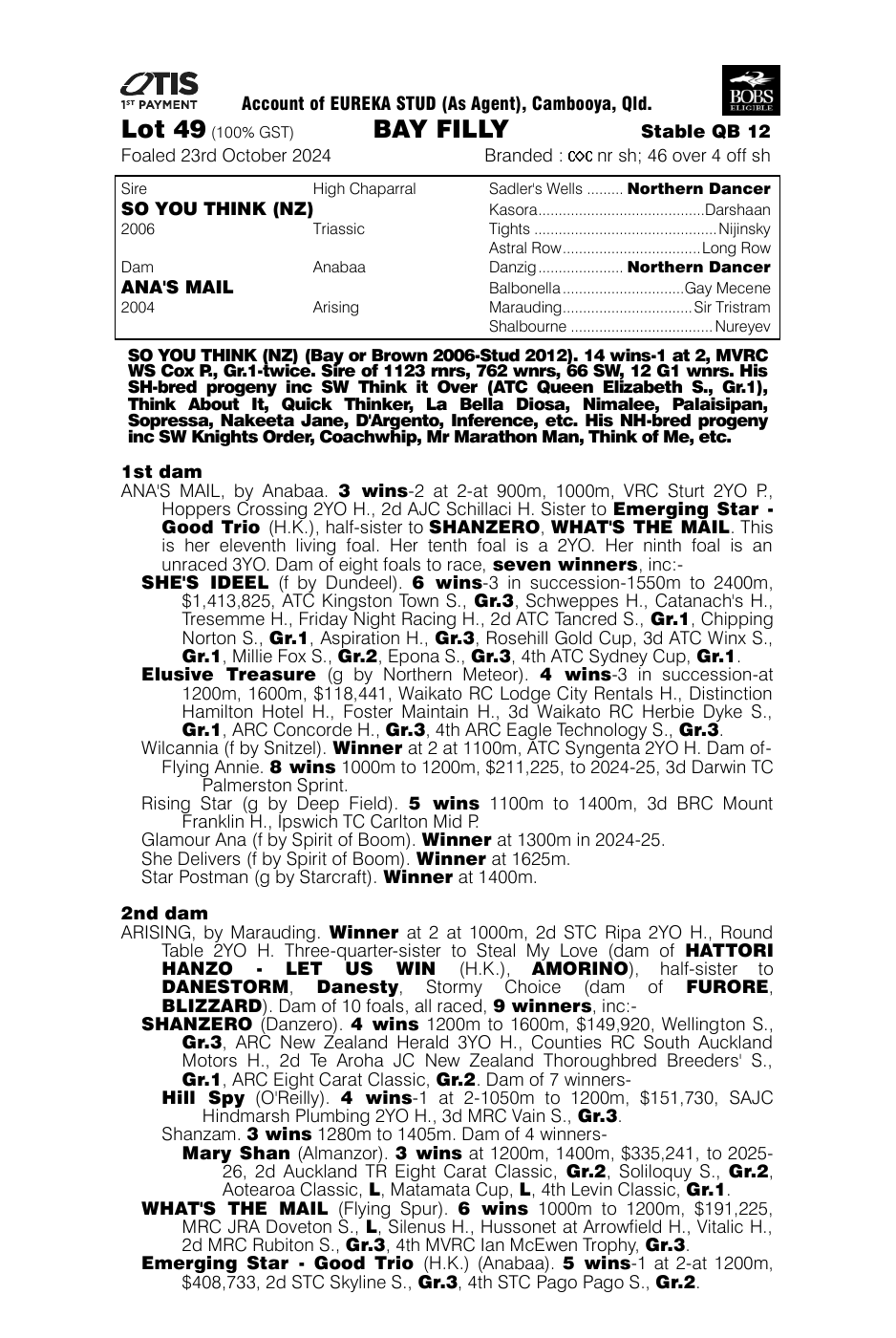 Pedigree - Lot 49