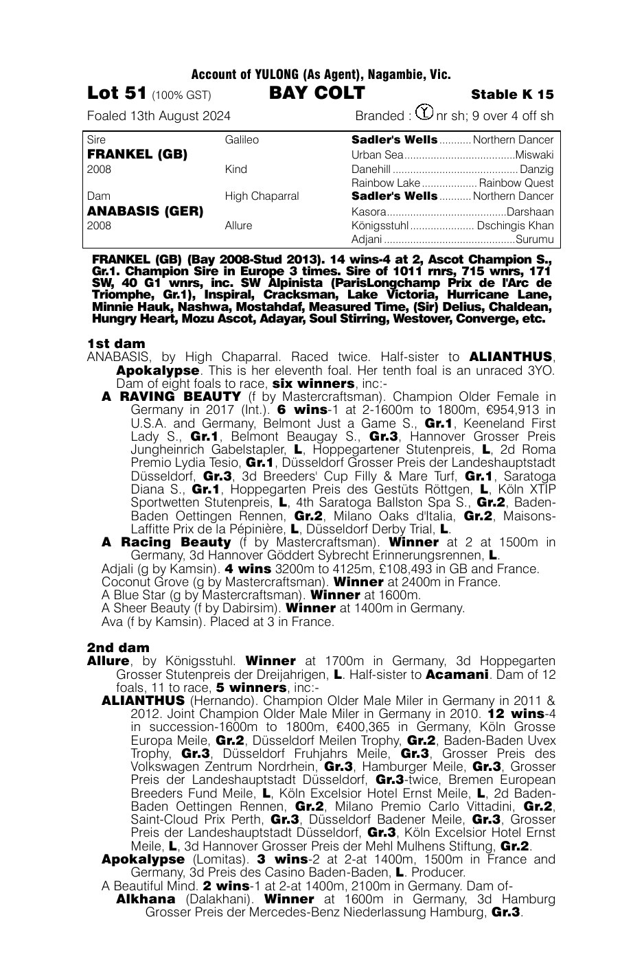 Pedigree - Lot 51