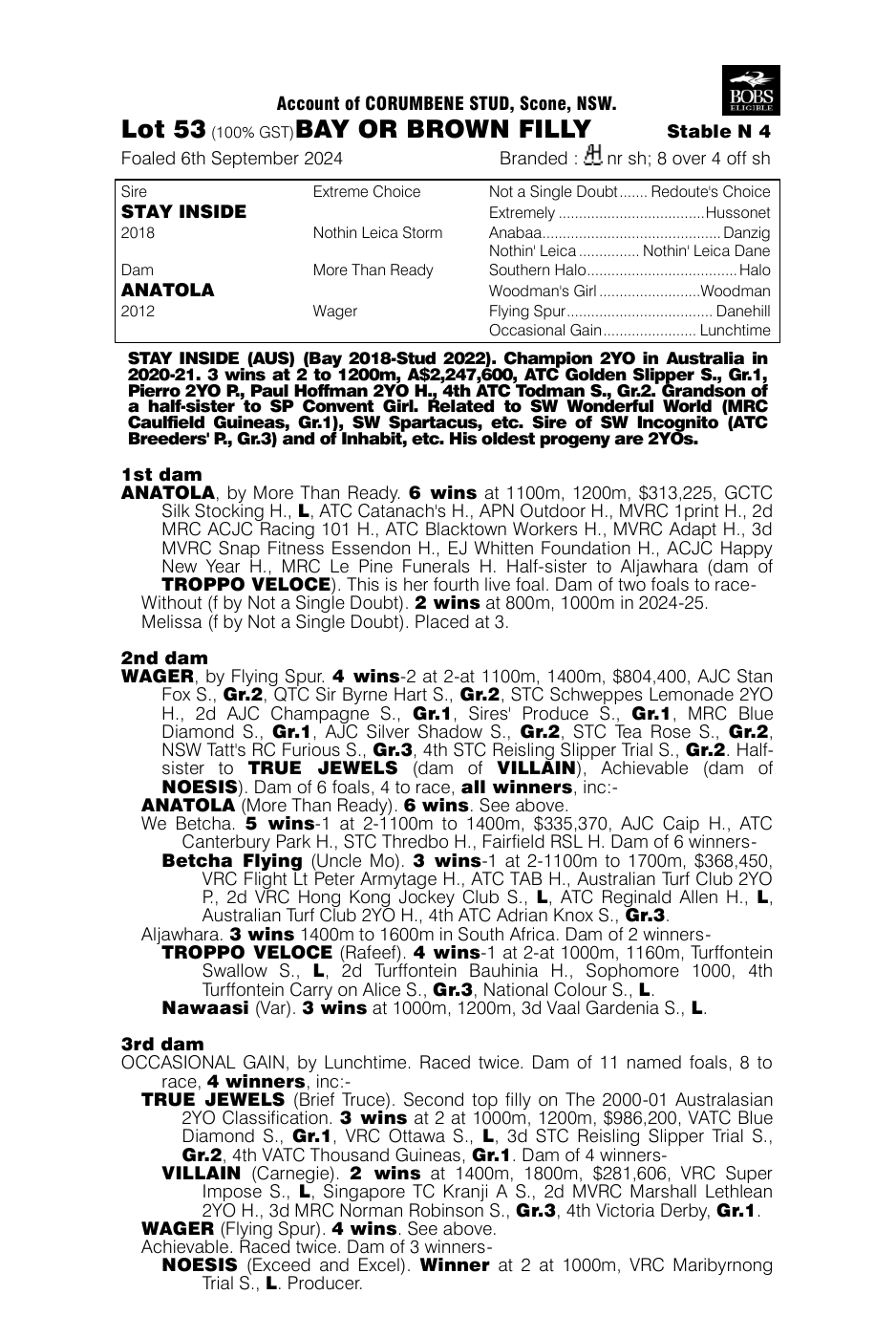 Pedigree - Lot 53