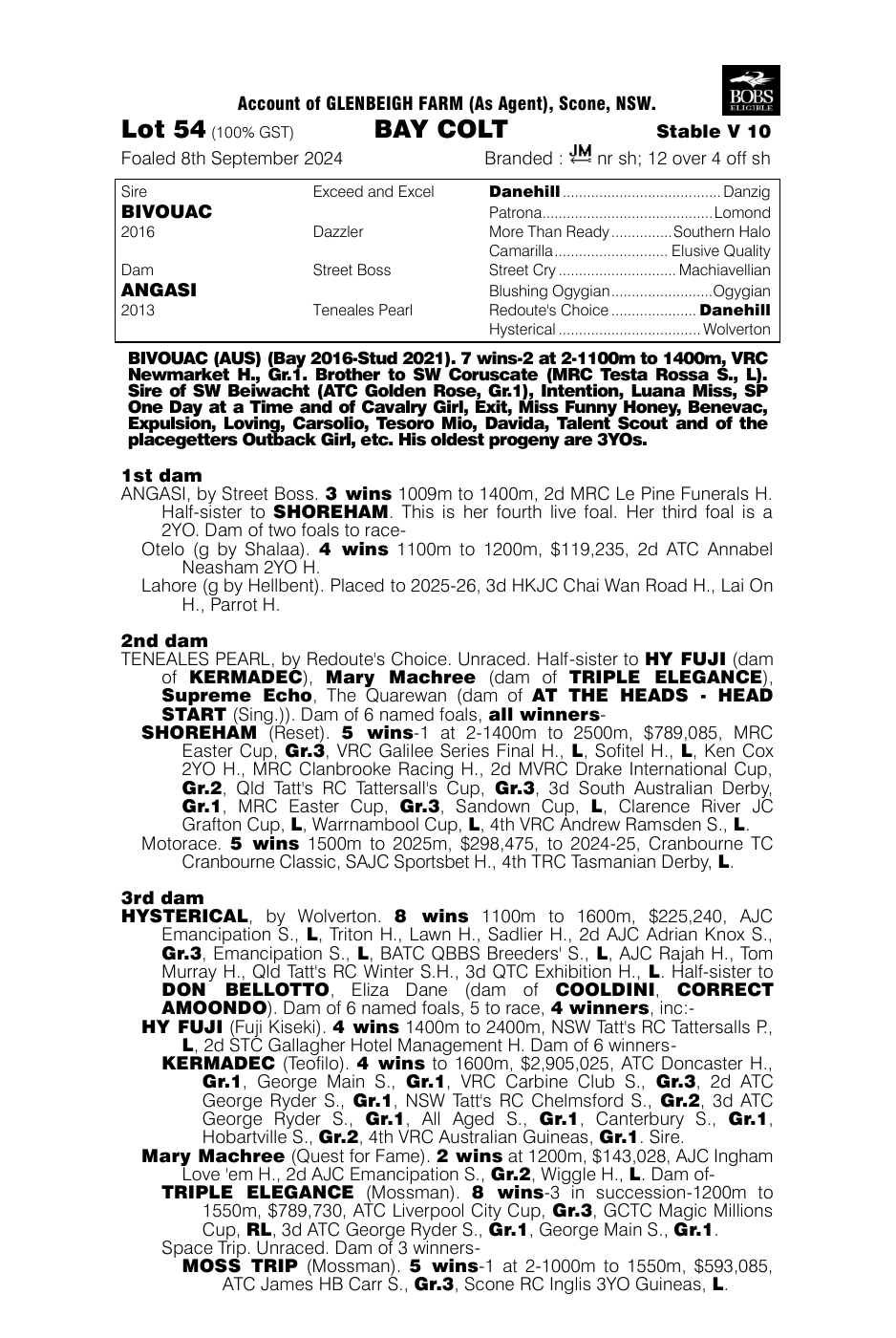 Pedigree - Lot 54