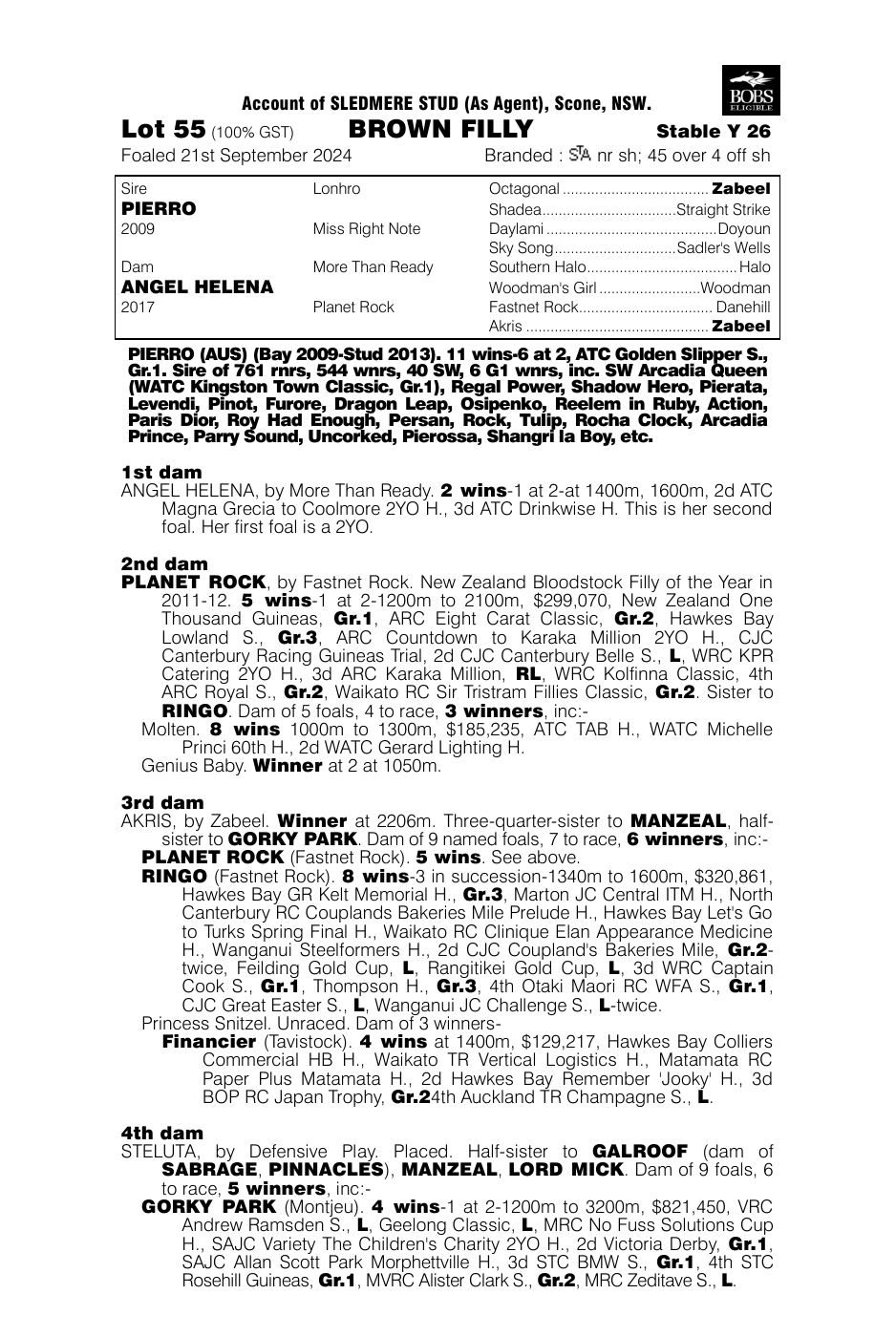 Pedigree - Lot 55