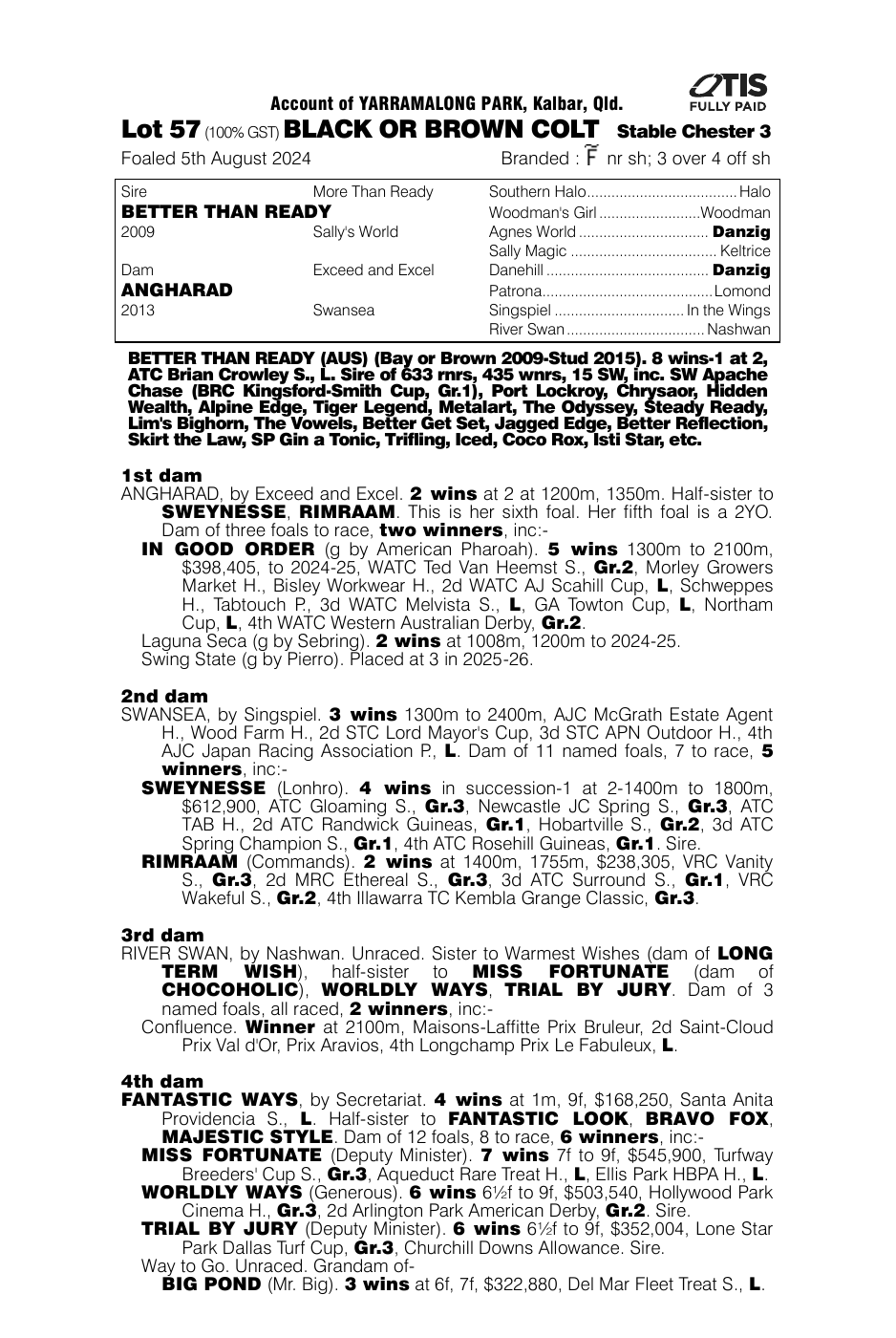 Pedigree - Lot 57