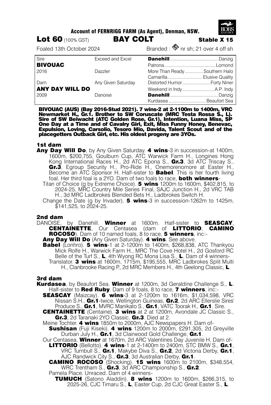 Pedigree - Lot 60
