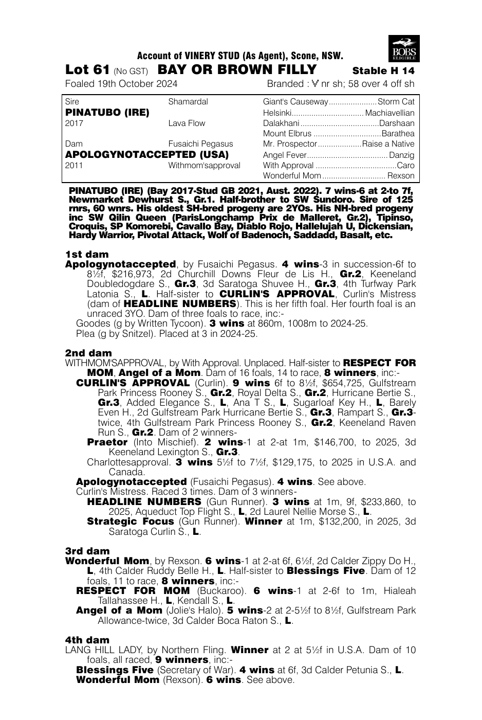 Pedigree - Lot 61