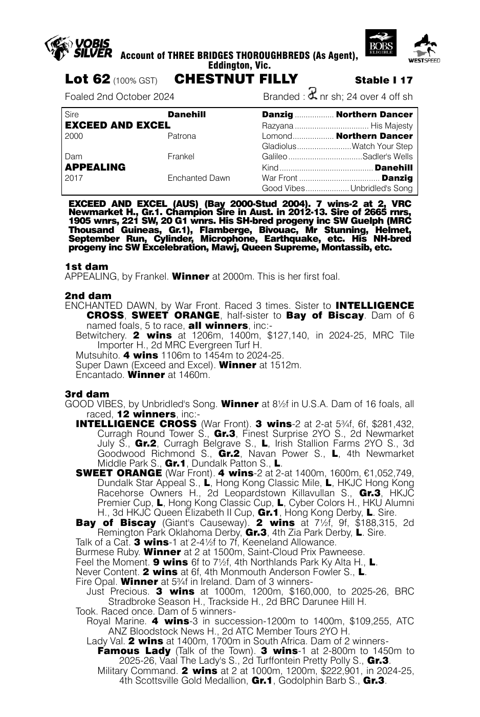 Pedigree - Lot 62