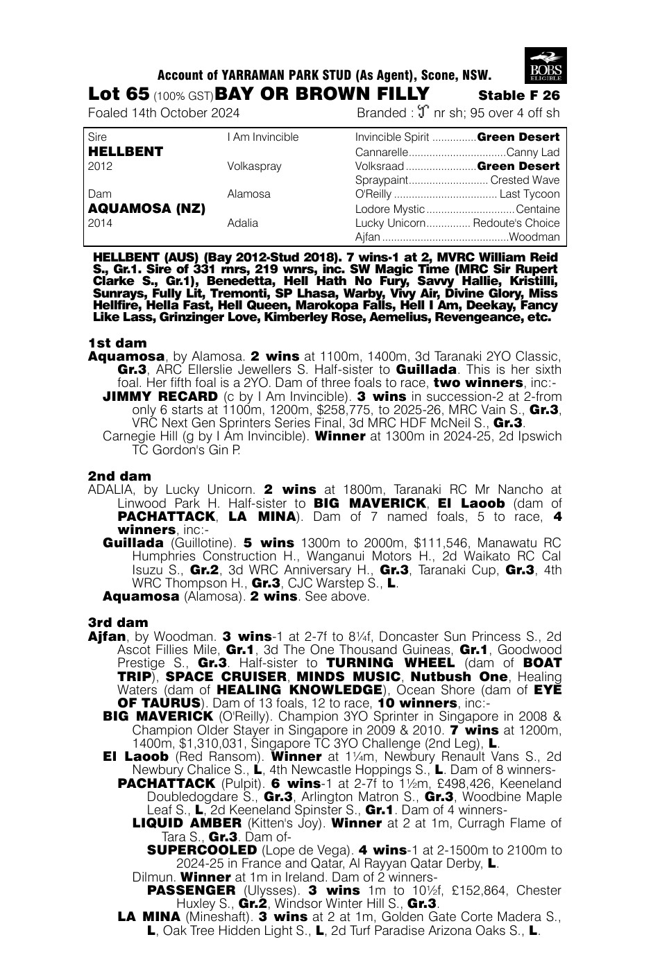 Pedigree - Lot 65