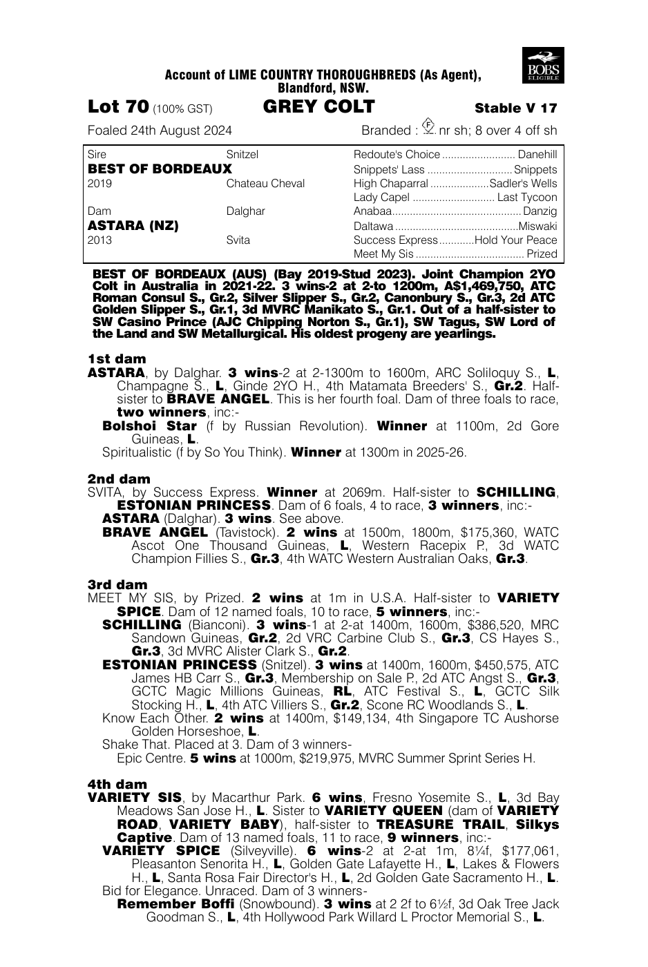 Pedigree - Lot 70