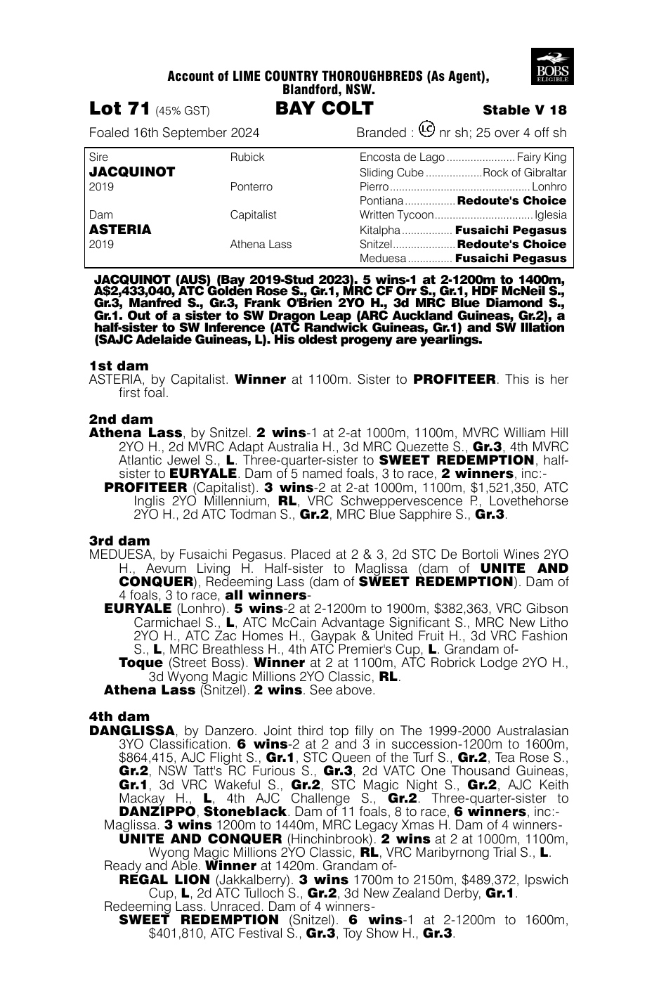 Pedigree - Lot 71